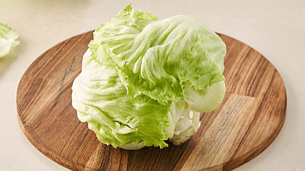 Iceberg_Lettuce