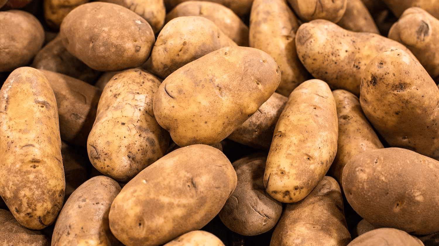 Idaho_Potato