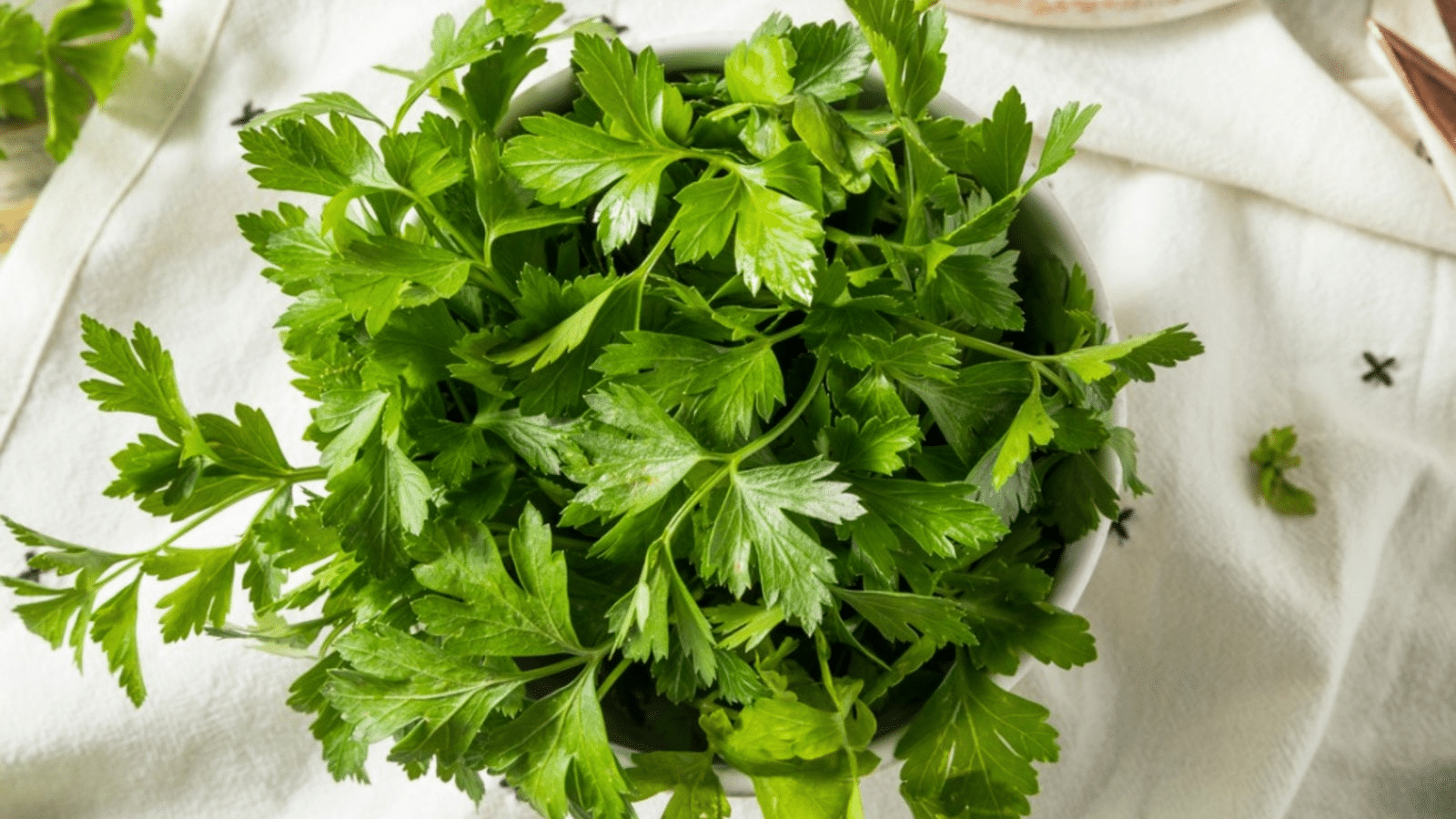 Italian_Parsley