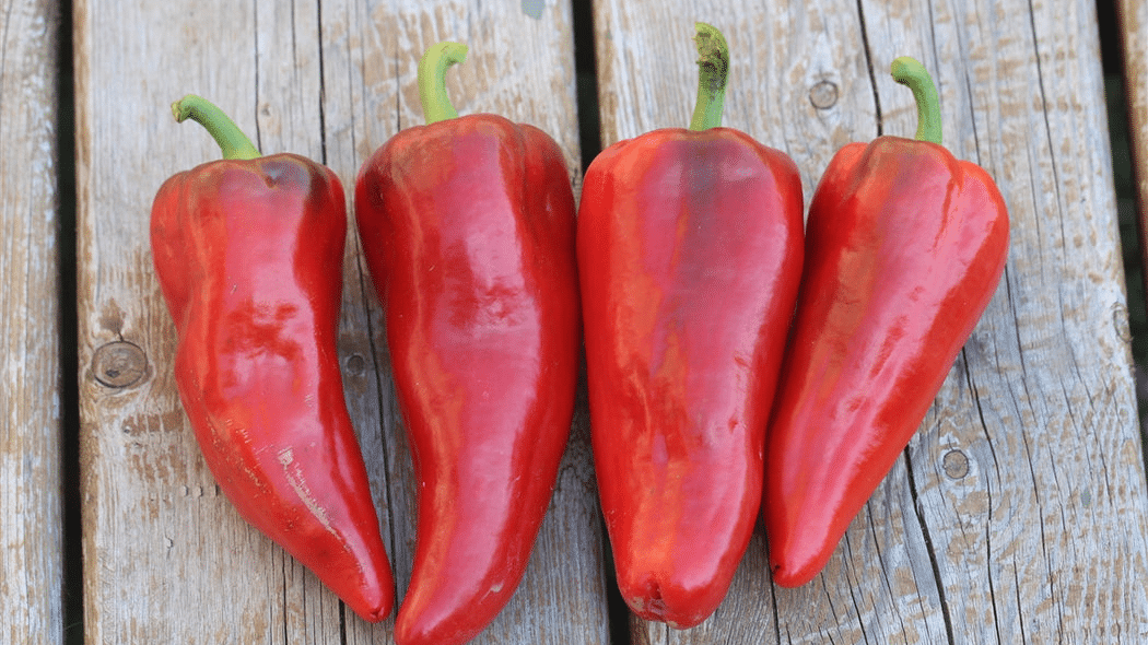 Italian_Sweet_Pepper