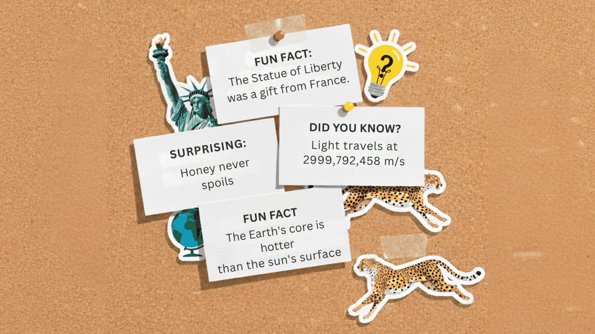 Fun Facts